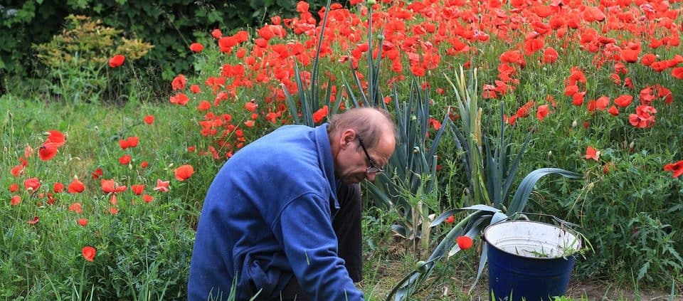 Waarom een vrijwilligers registratiesysteem gebruiken | Vrijwilligers Aan Zet | Kenniscentrum vrijwilligers