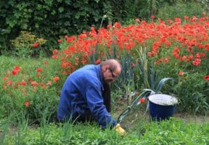 Vrijwilligers vrijwilligerswerk Kenniscentrum Vrijwilligers