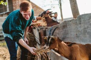 Motiveren van vrijwilligers 5 tips.