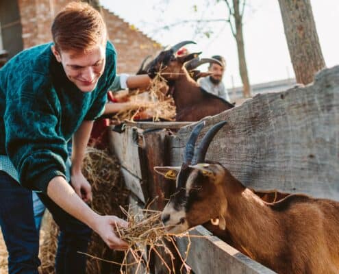 Motiveren van vrijwilligers 5 tips.