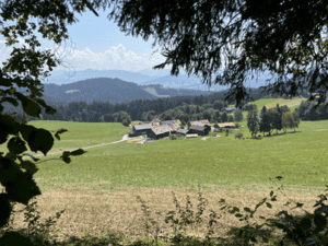 Bloeiende natuur tijdens een bergwandeling in het Montafon