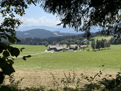 Bloeiende natuur tijdens een bergwandeling in het Montafon